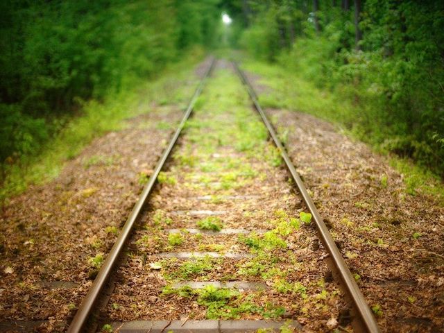 "Stillgelegte Gleise zu neuem Leben erwecken"