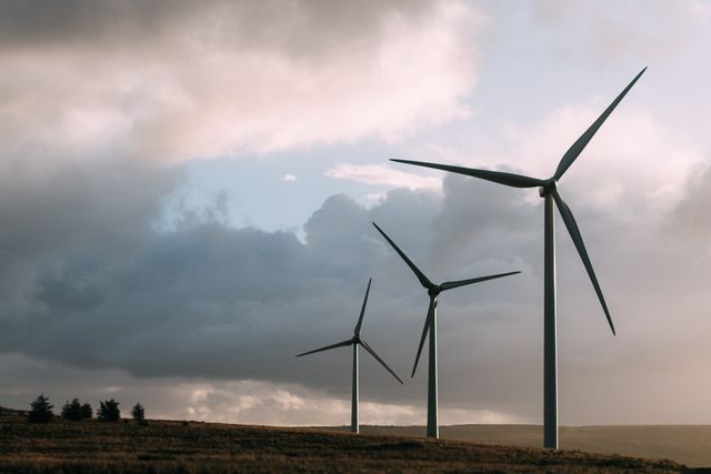 Neues Dashboard liefert aktuelle Zahlen zum Windkraftausbau